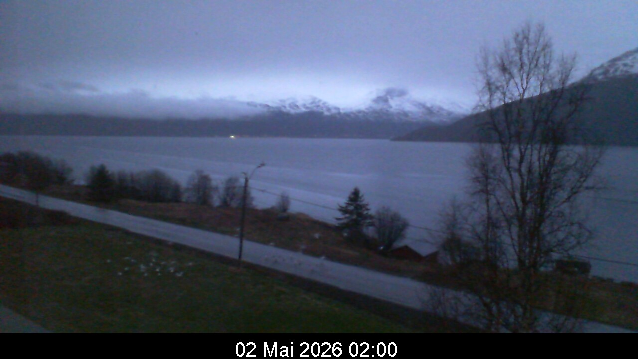 Webcam Image 2