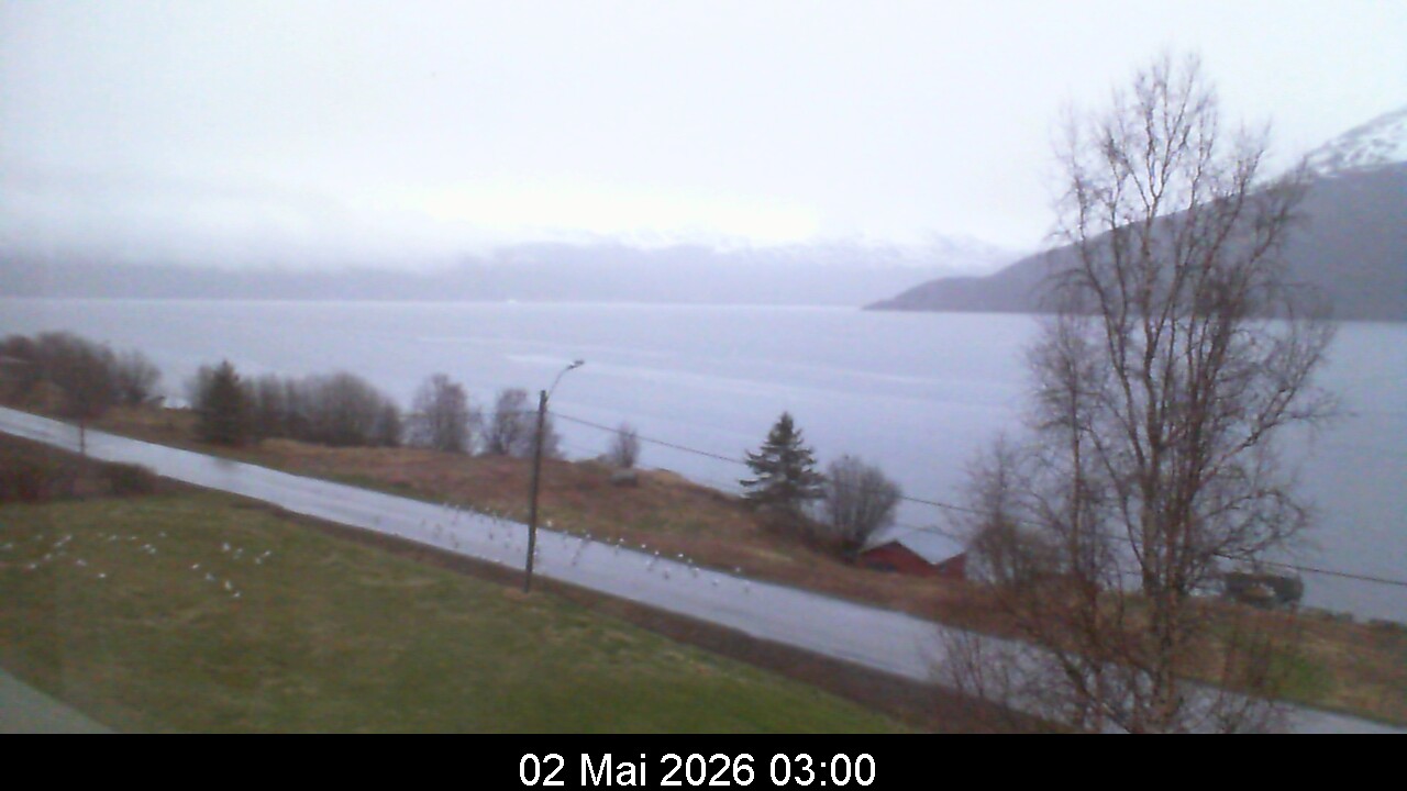 Webcam Image 3