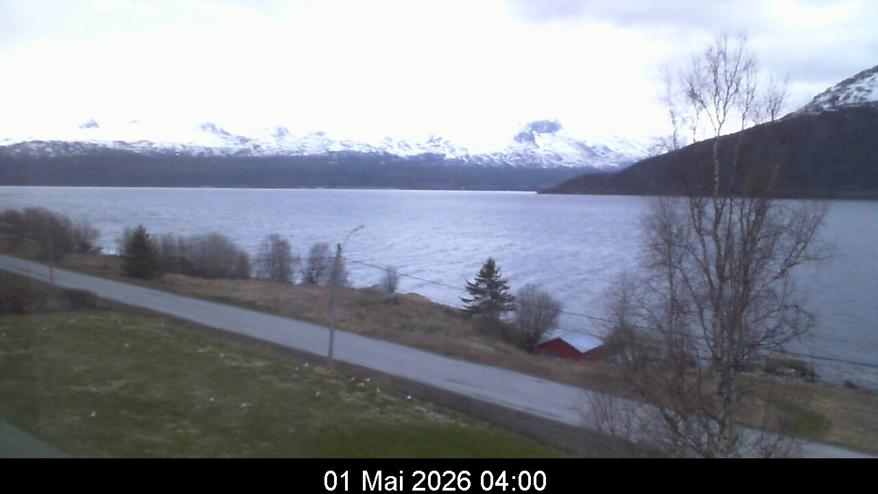 Webcam Image 4