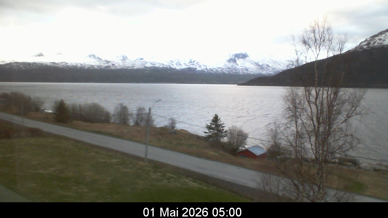 Webcam Image 5
