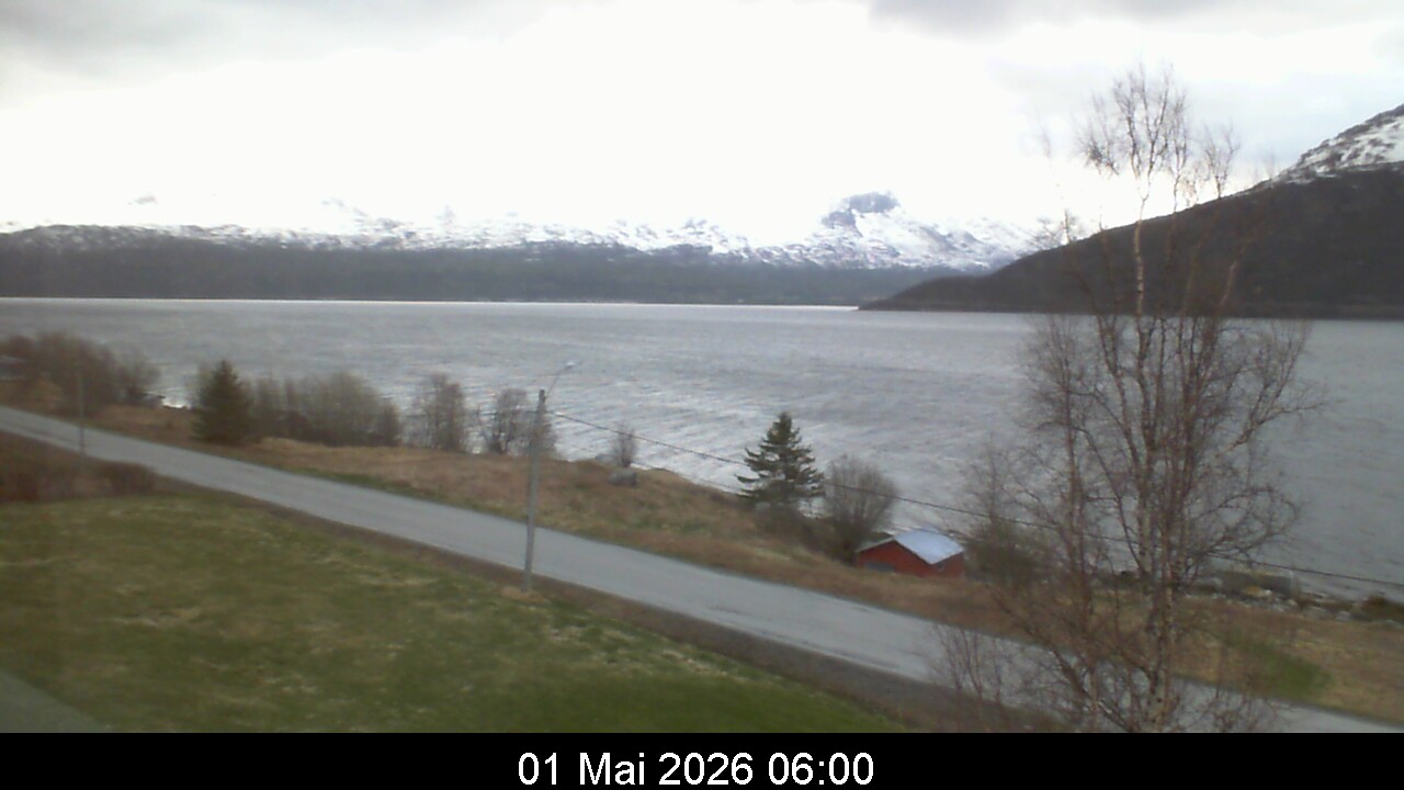 Webcam Image 6