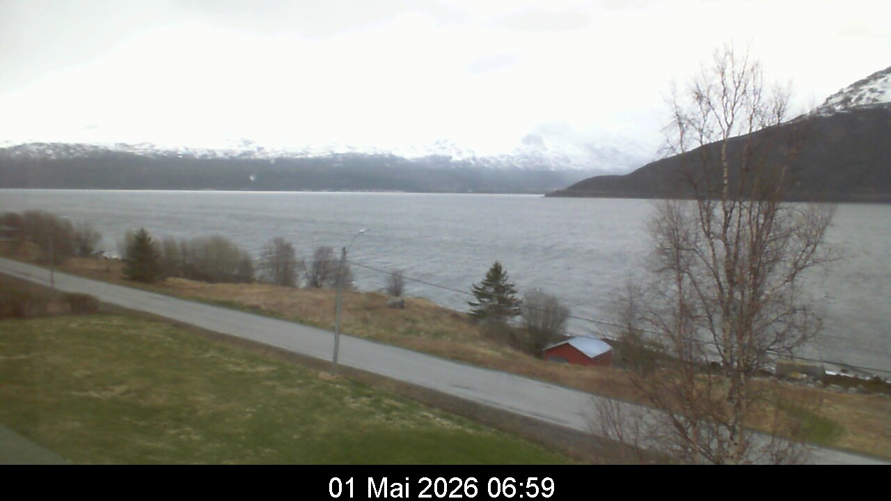 Webcam Image 7