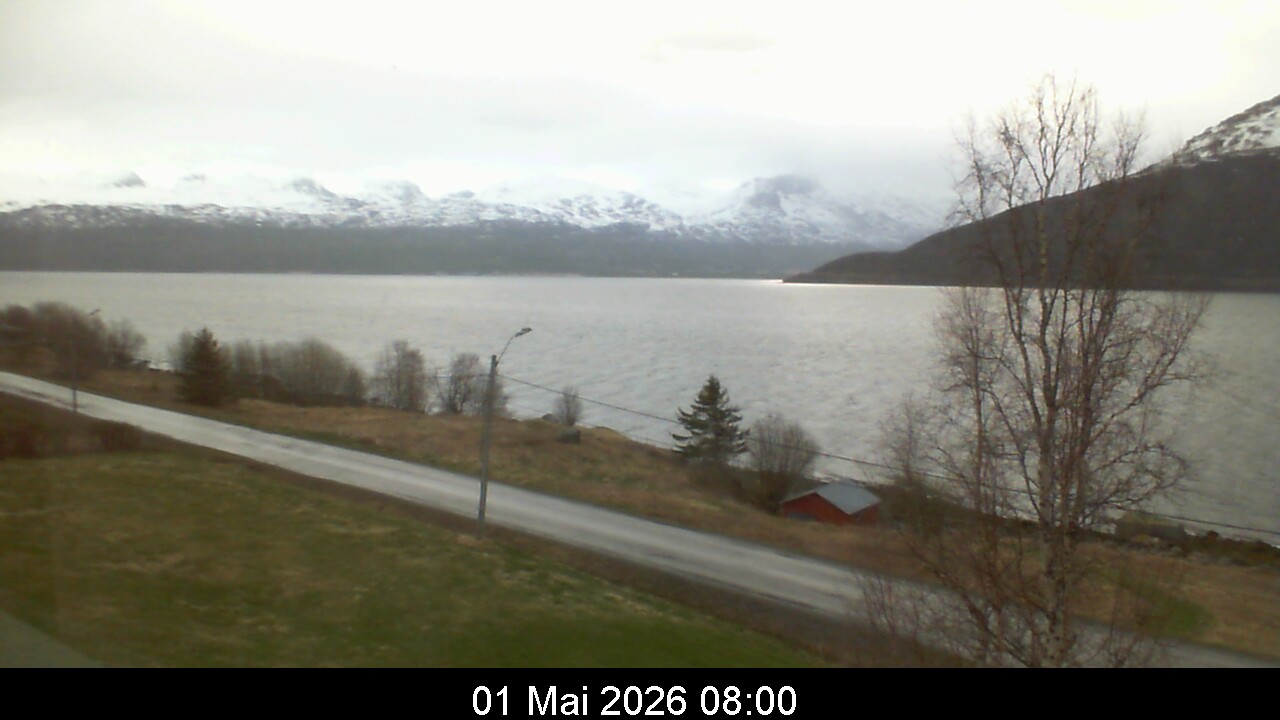 Webcam Image 8