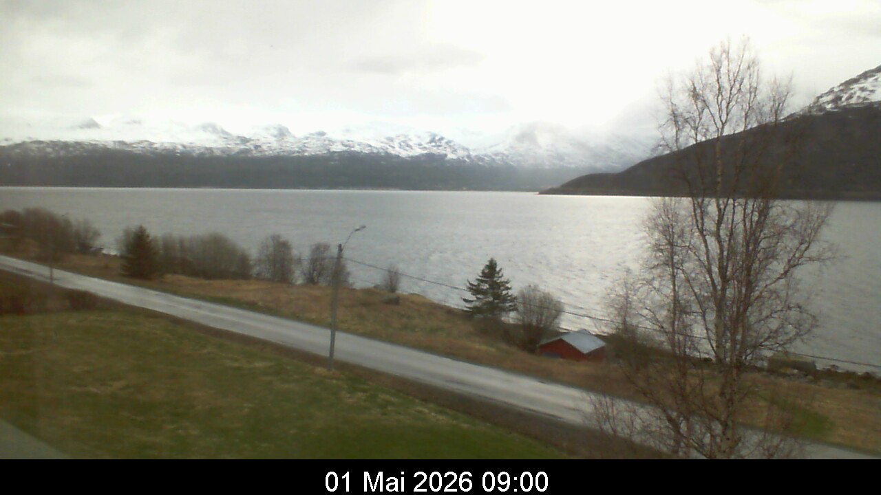Webcam Image 9