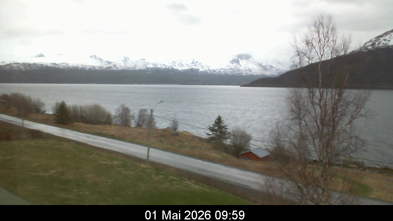 Webcam Image 10
