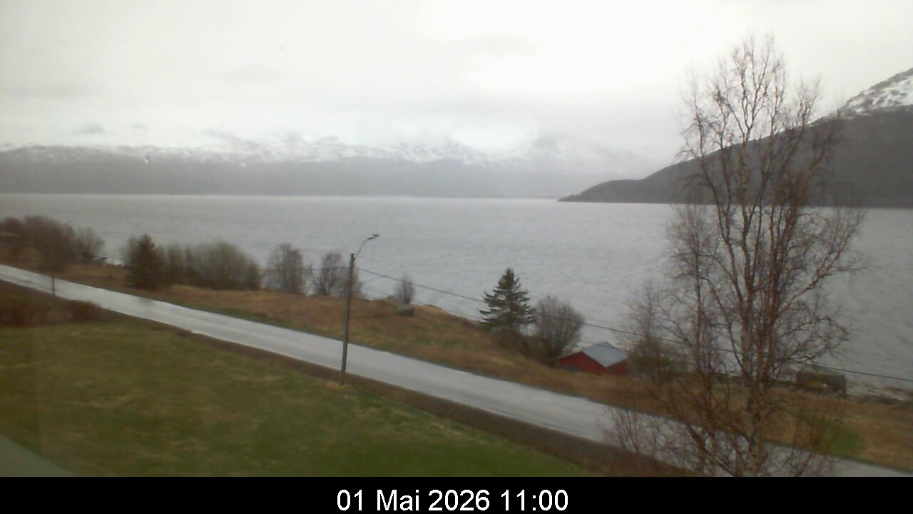 Webcam Image 11