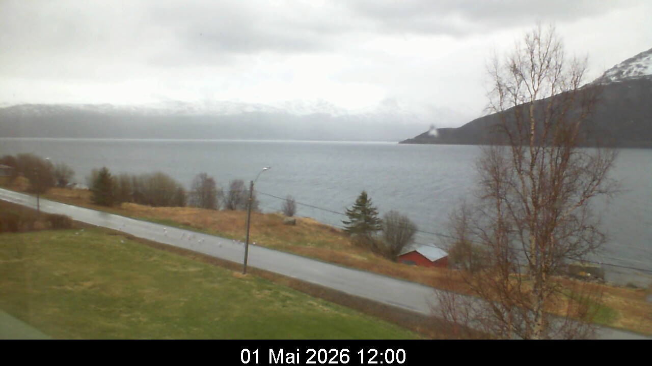 Webcam Image 12
