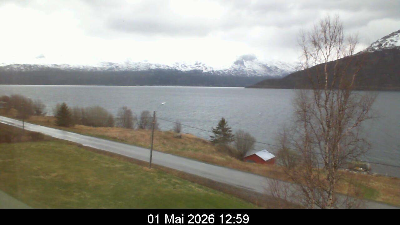 Webcam Image 13