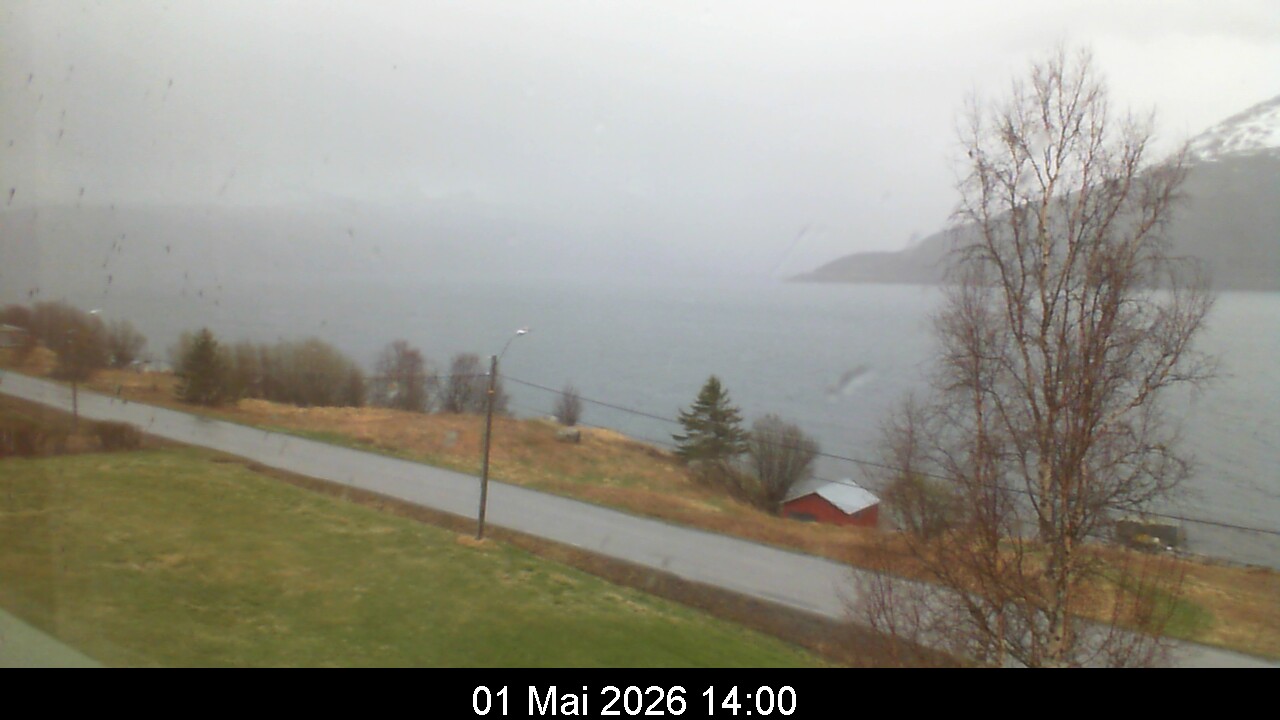 Webcam Image 14
