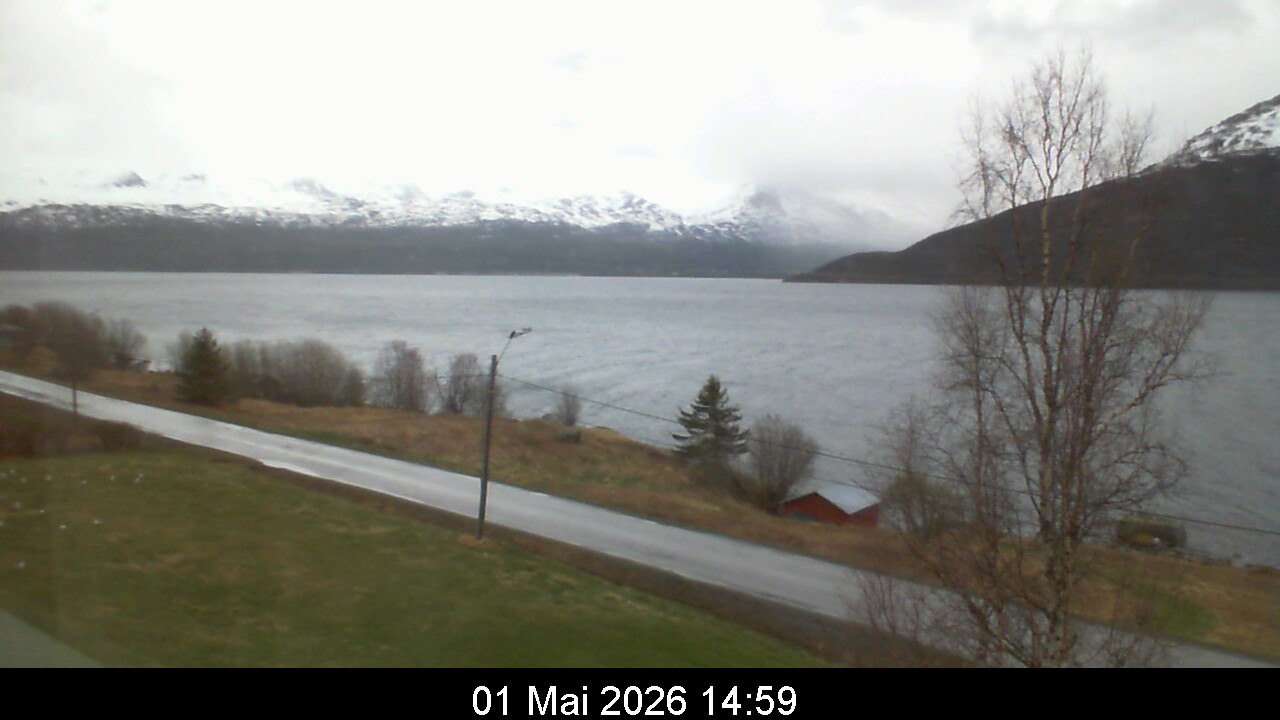 Webcam Image 15