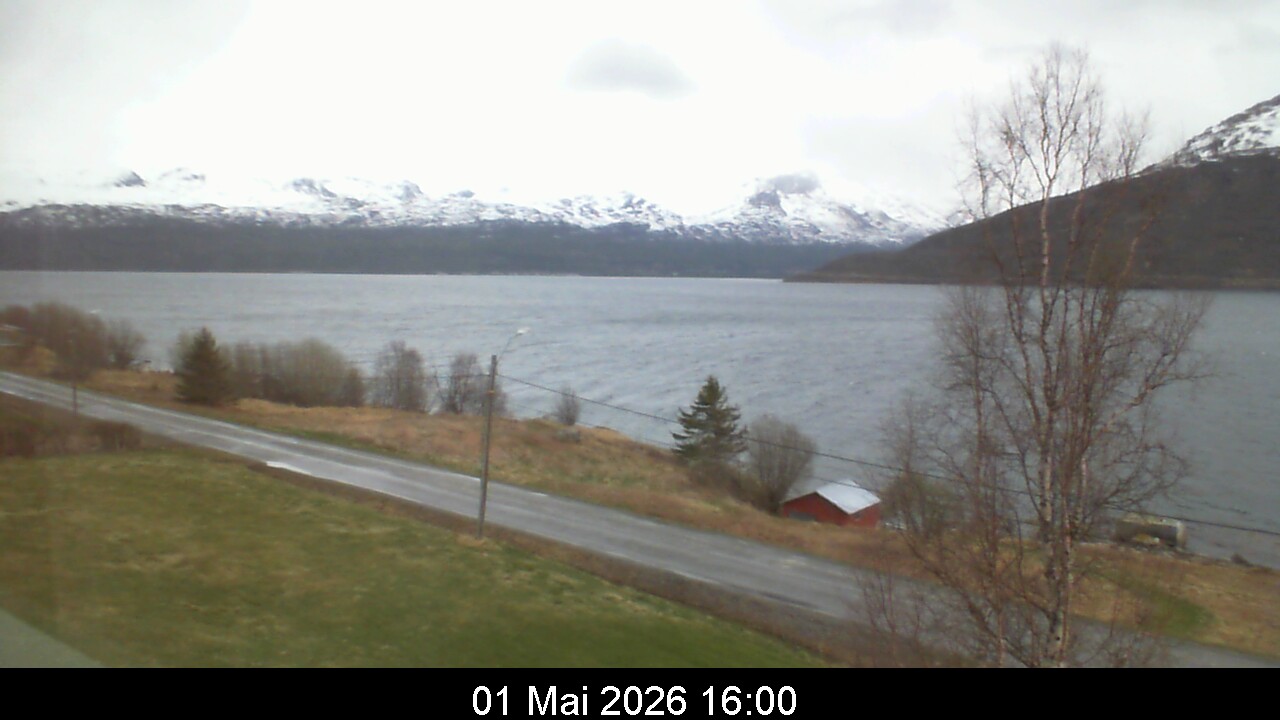 Webcam Image 16
