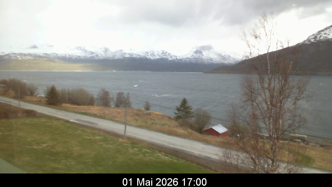 Webcam Image 17
