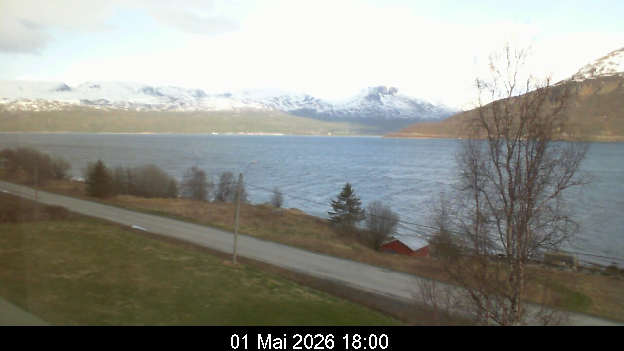 Webcam Image 18