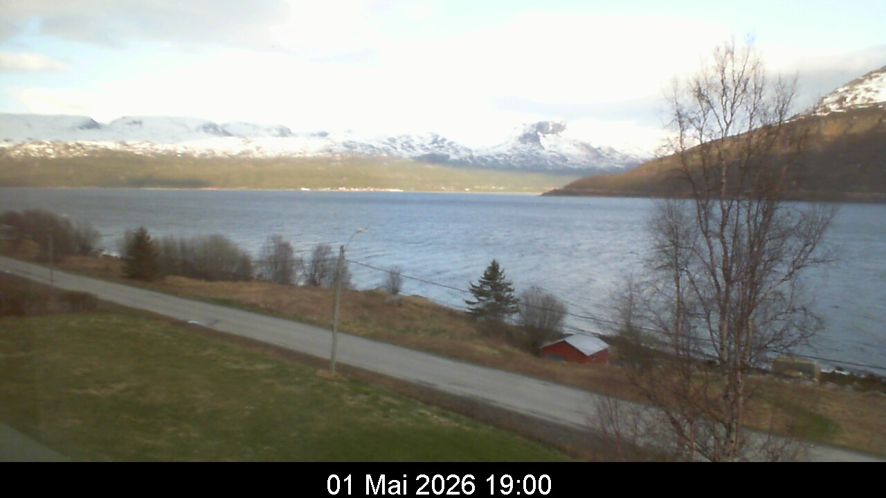Webcam Image 19