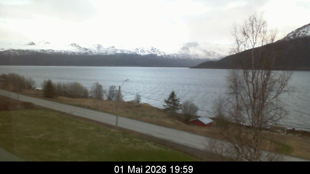 Webcam Image 20