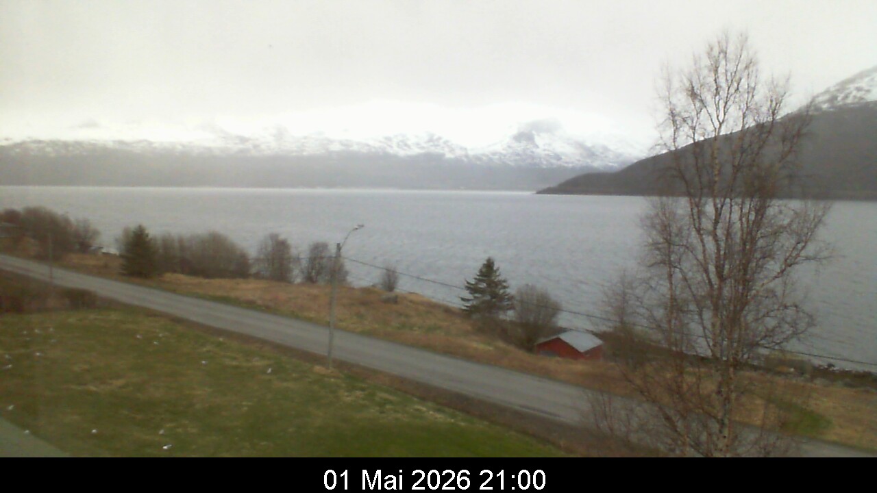 Webcam Image 21