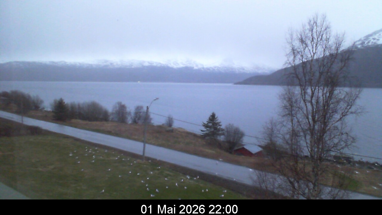 Webcam Image 22